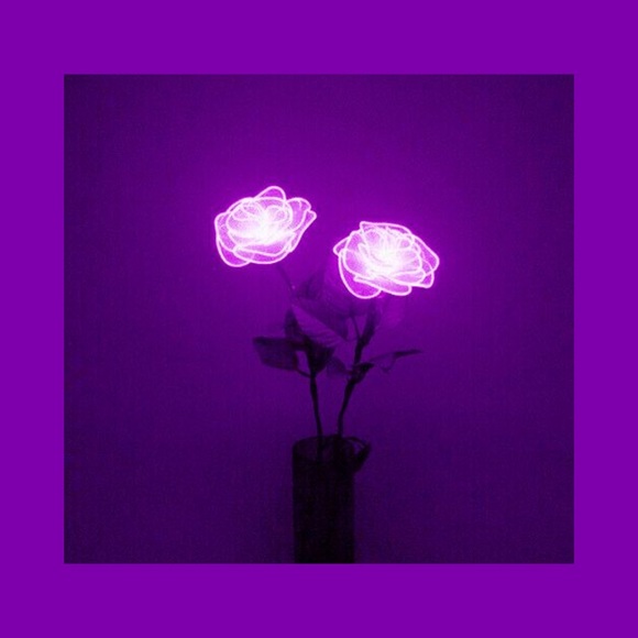 Meet your Posher, Yvette - Picture 1 of 1